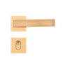 EPT -8-